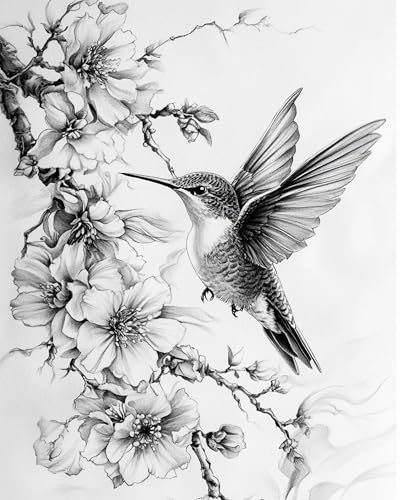 ZUKIY Kolibri-Skizzen-Kunstdruck, 20,3 x 25,4 cm, Vintage-Stil, ungerahmt, goldener Rahmen, Kunstwerk für Schlafzimmer oder Flur, klassische Natur-Illustration für Zuhause oder Büro ZUKIY Kolibri-Skizzen-Kunstdruck, 20,3 x 25,4 cm, Vintage-Stil, ungerahmt, goldener Rahmen, Kunstwerk für Schlafzimmer oder Flur, klassische Natur-Illustration für Zuhause oder Büro von ZUKIY