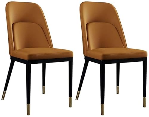 ZUMAHA Esszimmerstühle, 2 Stück, nordischer Stil, leicht, luxuriös, Esszimmerstühle aus weichem PU, Beine für Hocker aus Karbonstahl, für moderne Küche und Wohnzimmer von ZUMAHA