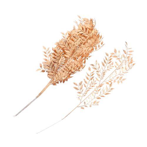 ZUNOXAZ 10 Stück Simulierte Goldene Pflanzen Goldzweige Als Mittelstücke Simulation Pflanzendekoration Goldene Künstliche Blätter Faux -zweige Stiele Für Vase Falsche Stängel Plastik ZUNOXAZ 10 Stück Simulierte Goldene Pflanzen Goldzweige Als Mittelstücke Simulation Pflanzendekoration Goldene Künstliche Blätter Faux -zweige Stiele Für Vase Falsche Stängel Plastik von ZUNOXAZ