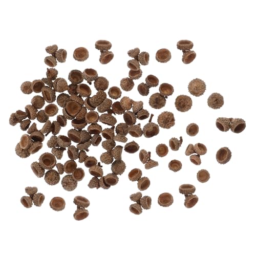 ZUNOXAZ 100 Stück Natürliche Eichelhülsen Deko Set Herbstdeko Bastelmaterial Umweltfreundlich für Weihnachtsbaum Party Tischdeko DIY Kunsthandwerk Hochzeit Herbstfest Aufhängen ZUNOXAZ 100 Stück Natürliche Eichelhülsen Deko Set Herbstdeko Bastelmaterial Umweltfreundlich für Weihnachtsbaum Party Tischdeko DIY Kunsthandwerk Hochzeit Herbstfest Aufhängen von ZUNOXAZ