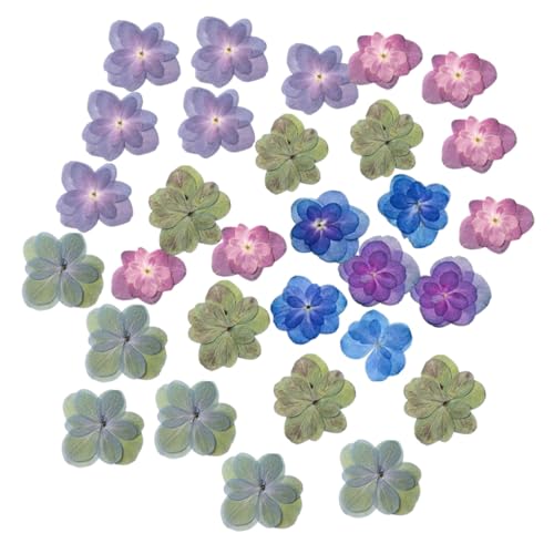 ZUNOXAZ 30 Stück Teiliges Gepresste Trockenblumen Hydrangea mit Kräftigen Farben Natürliche Dekoration für DIY Resin Nageldesign Scrapbooking und Bastelprojekte Langlebige Blütenblätter ZUNOXAZ 30 Stück Teiliges Gepresste Trockenblumen Hydrangea mit Kräftigen Farben Natürliche Dekoration für DIY Resin Nageldesign Scrapbooking und Bastelprojekte Langlebige Blütenblätter von ZUNOXAZ