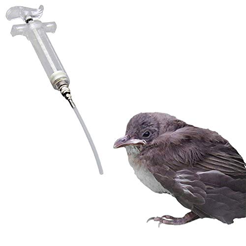 ZUOLUO Spritze Mit Schlauch Spritze Wellensittich Feeder Vogelbabyspritze Haustier Spritze Vogel Wasserspender Vogelfütterung Nymphensittich Feeder Spritze 50ml,4mm*10cm Tube von ZUOLUO