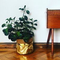 Waschbare Papiertasche Washable Paper Bag Storage Bag Hamper Planters Aufbewahrung Korb Pot Gold Silber Rosé Brotkorb Übertopf Waschbare Papiertasche Washable Paper Bag Storage Bag Hamper Planters Aufbewahrung Korb Pot Gold Silber Rosé Brotkorb Übertopf von ZUZAberlin