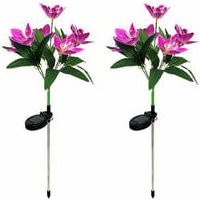 Hyy Ar - 2er-Pack Solar-Orchideenlichter für den Außenbereich, Garten, dekoratives Licht, Weihnachtsgeschenk, 70 cm Höhe von HYY AR