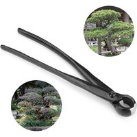 Konkave Bonsai-Pinzette, gerader Schnitt, Edelstahl von ZVD