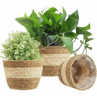 ZVD-3-teiliger Pflanzkorb aus Seegras, gewebter Blumentopf in 3 Größen, Blumentopfabdeckung, Aufbewahrungskorb, Pflanzenbehälter für die ZVD-3-teiliger Pflanzkorb aus Seegras, gewebter Blumentopf in 3 Größen, Blumentopfabdeckung, Aufbewahrungskorb, Pflanzenbehälter für die von ZVD