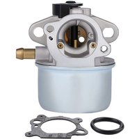 ZVD-799868 498170 497586 498254 497314 Vergaser Rasenmäher Vergaser von ZVD