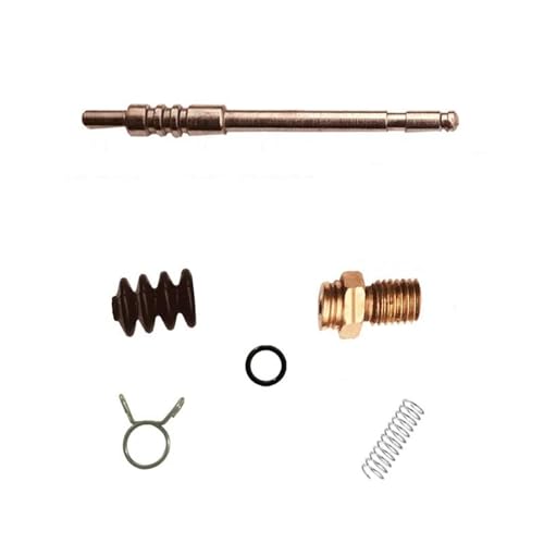 ZWBHNB Motorrad-Vergaser-Reparatursatz Für Piaggio Fly 4T FLY125 FLY150 125ccm 150ccm Schwimmervergaser-Reparatursatz Vergaseranlagen(Satz 4) von ZWBHNB