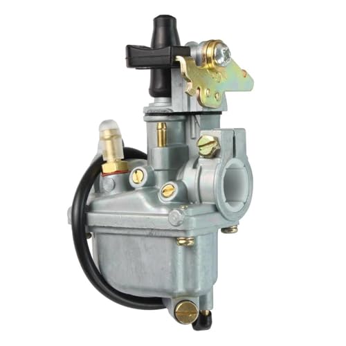 ZWBHNB Motorrad-Vergaser-Reparatursatz Für Suzuki ALT50 LT 50 JR50 LTA50 LT-A50 Quadrunner ALT 50 JR 50 LT50 Vergaser-Reparaturteile Vergaseranlagen(Farbe 1) von ZWBHNB