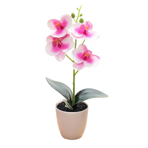 Bezaubernde künstliche Blumenarrangements mit Topforchideen verschönern jeden Raum elegant (B) von ZWEquipint