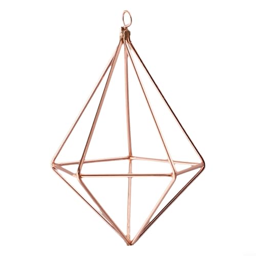 Hängendes Metallregal für Blumentöpfe, geometrischer Luftpflanzenhalter für Wanddekoration (Roségold) von ZWEquipint
