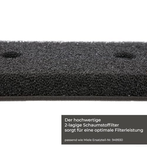 Packung mit 2 Schaumstoff-Filtern für Wärmepumpentrockner, Sockel T8861WP T8964WP, hält Ihren Trockner reibungslos Packung mit 2 Schaumstoff-Filtern für Wärmepumpentrockner, Sockel T8861WP T8964WP, hält Ihren Trockner reibungslos von ZWEquipint