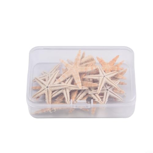 Set mit 20 50 100 natürlichen Seestern in verschiedenen Größen für Aquarium-Dekoration und Bastelprojekte, einschließlich Harz und Kerzen, 20 Stück (3–5 cm) von ZWEquipint