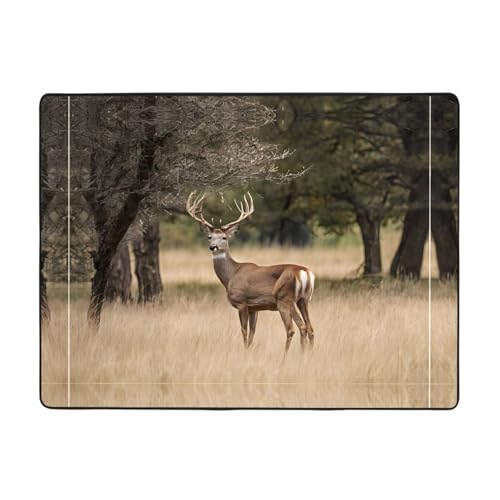 Free Whitetail Teppich mit Hirschdruck, 160 x 121,9 cm, weich, rutschfest und langlebig, Bodenmatte für Wohnzimmer, Büro und mehr Free Whitetail Teppich mit Hirschdruck, 160 x 121,9 cm, weich, rutschfest und langlebig, Bodenmatte für Wohnzimmer, Büro und mehr von ZWLPNZZD