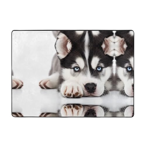 Husky Hunde-Teppich, 203,2 x 147,3 cm, weich, rutschfest und langlebig, Bodenmatte für Wohnzimmer, Büro und mehr Husky Hunde-Teppich, 203,2 x 147,3 cm, weich, rutschfest und langlebig, Bodenmatte für Wohnzimmer, Büro und mehr von ZWLPNZZD