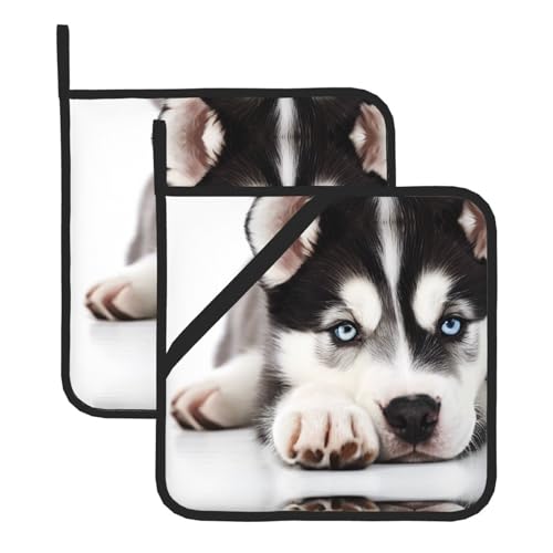 Husky Topflappen-Set, hitzebeständige und wasserdichte Küchenhandschuhe mit Aufbewahrungsseil für Mikrowelle, Herd und Grillen im Freien von ZWLPNZZD