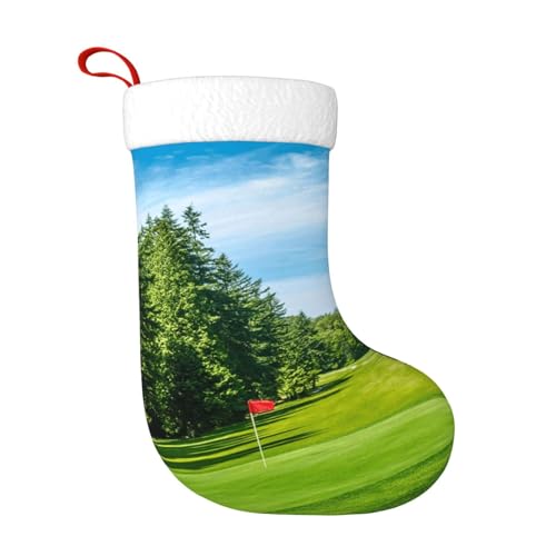 ZWLPNZZD Weihnachtsstrumpf mit Golfplatz-Rasendruck, 45,7 cm, weiche Plüschbündchen, Strümpfe für Urlaub, Party, Weihnachten, Neujahr, Halloween-Dekoration von ZWLPNZZD