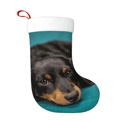 ZWLPNZZD Weihnachtsstrumpf mit niedlichem Hundeaufdruck, 45,7 cm, weiche Plüschmanschetten, Strümpfe für Urlaub, Party, Weihnachten, Neujahr, Halloween-Dekoration von ZWLPNZZD