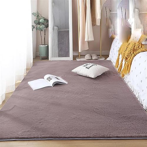 ZWPILY Waschbarer Teppich Wohnzimmer Schlafzimmer Kurzflor rutschfest Flauschig Weich Moderne Einfarbige Muster, Hochflor Teppich Wohnzimmer Kinderzimmer Flauschig Fellteppich,Lila,80x160 cm von ZWPILY