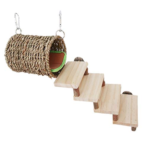 2x Hamster Hängematte mit Leiter Gras Gewebtes Bett Kleine Haustier Käfig Tunnel Höhle für Rennmäuse Tier Spielzeug für Meerschweinchen für Kaninchen für Käfig für Zuckergleiter 2x Hamster Hängematte mit Leiter Gras Gewebtes Bett Kleine Haustier Käfig Tunnel Höhle für Rennmäuse Tier Spielzeug für Meerschweinchen für Kaninchen für Käfig für Zuckergleiter von ZWTPGKRD