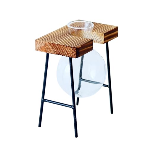 Hydrokultur-Pflanzvase, Glasbirne, Blumenterrarien, Desktops, Glas-Pflanzgefäß mit Holztablett, Heimdekorationen, Pflanzen-Terrarien, Glühbirne von ZWTPGKRD