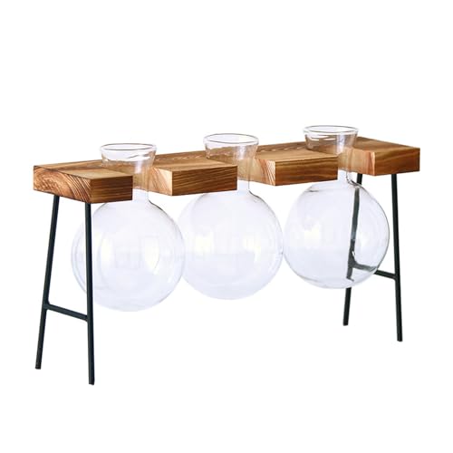 Hydrokultur-Pflanzvase, Glasbirne, Blumenterrarien, Desktops, Glas-Pflanzgefäß mit Holztablett, Heimdekorationen, Pflanzen-Terrarien, Glühbirne Hydrokultur-Pflanzvase, Glasbirne, Blumenterrarien, Desktops, Glas-Pflanzgefäß mit Holztablett, Heimdekorationen, Pflanzen-Terrarien, Glühbirne von ZWTPGKRD