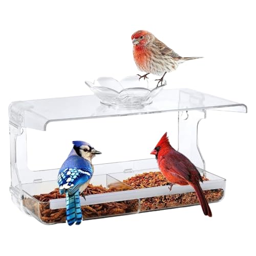 Transparente Vogelfutterstation mit Anti-Rutsch-Saugnapf-Befestigung, Fenster-Futterstation für Wohnungsvögel-Enthusiasten, transparenter Futterspender zur Beobachtung von ZWTPGKRD