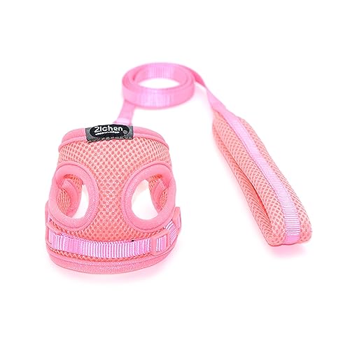 Verstellbares, atmungsaktives Zugseil für Brust und Rücken, Haustier, Outdoor, Spaziergänge für große Hunde, Kätzchen, Welpen, Outdoor-Zubehör, Geschirr, Leine, ausbruchsicher, Größe L Verstellbares, atmungsaktives Zugseil für Brust und Rücken, Haustier, Outdoor, Spaziergänge für große Hunde, Kätzchen, Welpen, Outdoor-Zubehör, Geschirr, Leine, ausbruchsicher, Größe L von ZWTPGKRD