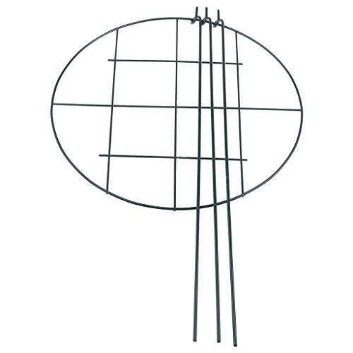 ZWTPGKRD Robuste 30,5 cm große Pflanzen- und Pflanzenstütze, Gartenrahmen, Pflanzenstütze, Klettern, konische Unterstützung, Blumen und Gartengeräte, Gartenarbeit von ZWTPGKRD