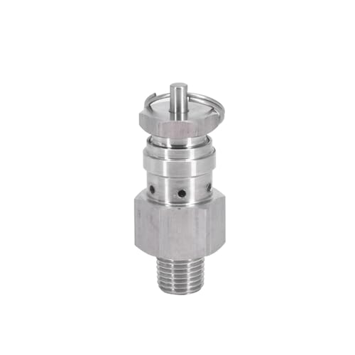 0,1/0,2/0,3 Mpa 1/4 "NPT SUS304 Sanitär Einstellbare Air Release Druck Relief Sicherheitsventil Auspuff Homebrew Kompressor(0.1 Mpa) von ZXCDLCCJD