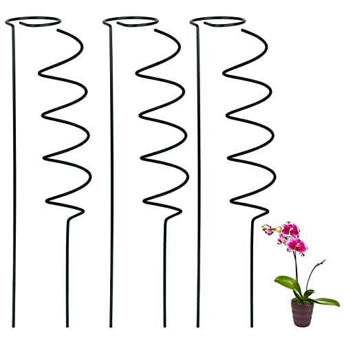 ZXCFTG 3 Stück Stängel Pflanzenstütze, 40 cm Einzelstiel-Blumenstecker und 3 x Spiralstütze, Metall, Einzelstiel-Pflanzenstütze für Orchideen, Gladiolen, Iriss, Dahlien, Rose, Lilie von ZXCFTG