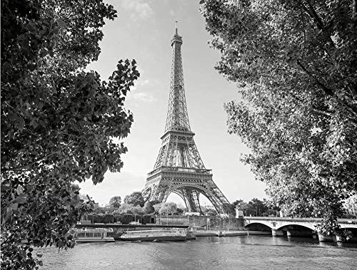 3D Fototapete 3D Effekt Paris-Schwarzweiss-Turm 350 x 250 cm Tapete 3D Wandbild Bild Tapeten Wandtapete Dekoration Wandbelag Wanddeko von ZXCHEE