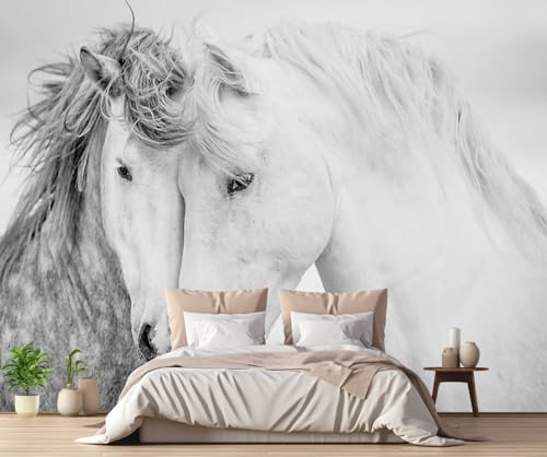 Fototapete Graue Weiße Pferde 430x300cm Tapete Kinderzimmer Vliestapete Wohnzimmer Schlafzimmer Wandtapete Deco -ZXCHEE-MZ06579 Fototapete Graue Weiße Pferde 430x300cm Tapete Kinderzimmer Vliestapete Wohnzimmer Schlafzimmer Wandtapete Deco -ZXCHEE-MZ06579 von ZXCHEE