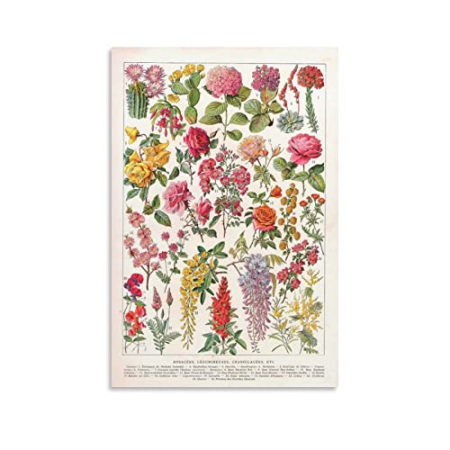 ZXCN Vintage-Poster, französische Blumen, Pflanzen-Posterrahmen, Leinwand-Kunst, Poster und Wandkunst, Bilderdruck, modernes Familienschlafzimmerdekor, Poster, 20 x 30 cm von ZXCN