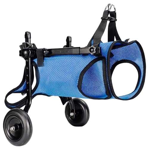 ZXDRYBHD Hunde Rollstuhl, Hunderollstuhl für die Hinterbeine, Hilfe für Behinderte Haustiere mit Täglichen Hilfsmitteln zur Genesung und zum Gehen(XS) von ZXDRYBHD