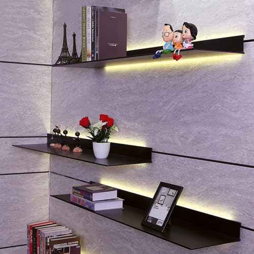 ZXDTVFGN Wandmontiertes schwebendes Regal, Dekor, Regal mit eingebautem beleuchtetem LED-Licht, hängender Organizer für Schlafzimmer, Küche, Wohnzimmer, 2er-Set, 80 cm von ZXDTVFGN