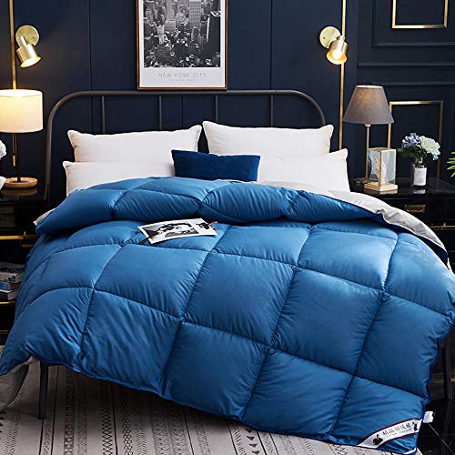 ZXGQF Daunenbett Baumwolle Daunen Stoff Verdickte warme Hotel Bettdecke Kern Entendecke Geschenk Winter Daunendecke Gänsedaunen (Blue,150x200cm/4kg) von ZXGQF