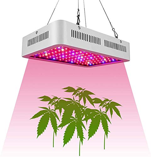 ZXGQF LED Pflanzenlampe 1000W Vollspektrum Grow Lampe für Indoor-Gewächshausfruchtpflanzen Gemüse und Blumen von ZXGQF