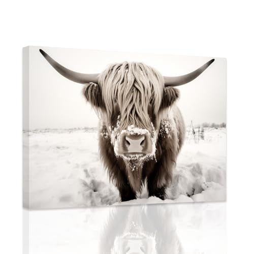 ZXHYWYM Highland Rinder Wanddekoration Winter Kuh Poster Landhaus Tierbilder lustige Highland Kuh Leinwanddruck mit Rahmen (D (30.00 x 45.00 cms)) von ZXHYWYM