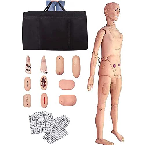 ZXNANA PVC-Pflegesimulator für männliche und weibliche medizinische Pflegepuppe, Patientenaufklärung, Pflegepuppe, austauschbares Wundmodul ZXNANA PVC-Pflegesimulator für männliche und weibliche medizinische Pflegepuppe, Patientenaufklärung, Pflegepuppe, austauschbares Wundmodul von ZXNANA