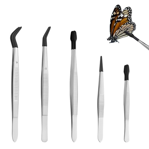 5 Stück Entomologie Pinzetten Set Von, Pinzetten Set Medizinisch, Entomologie Pinzetten Set,Edelstahl Präzisionsinstrumente Mit Gummispitze Werkzeug Für Entomologie, Taxidermie Und Feinste Arbeiten 5 Stück Entomologie Pinzetten Set Von, Pinzetten Set Medizinisch, Entomologie Pinzetten Set,Edelstahl Präzisionsinstrumente Mit Gummispitze Werkzeug Für Entomologie, Taxidermie Und Feinste Arbeiten von ZXNJA