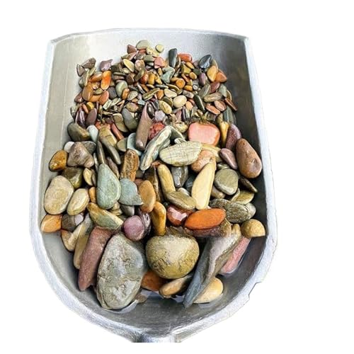 ZYAGH Aquarium Dekorationssteine 100/200/500g Aquariumboden Sandstein Aquarium Landschaft Native Stream Natursandstein Garten DIY Zubehör Dekorationen FüR Aquarien(4-50mm,200g) von ZYAGH