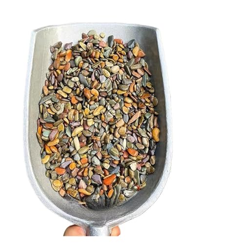 ZYAGH Aquarium Dekorationssteine 100/200/500g Aquariumboden Sandstein Aquarium Landschaft Native Stream Natursandstein Garten DIY Zubehör Dekorationen FüR Aquarien(4-8mm,500g) von ZYAGH