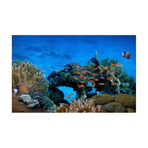 ZYAGH Aquarium Hintergrund Aquarium Hintergrund Aufkleber Blau Submarine Korallen Poster Dekoration Selbstklebende Tapete Fur Aquarium(40x80cm) von ZYAGH