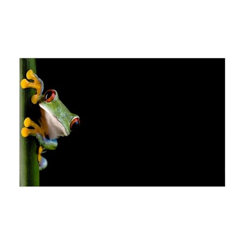 ZYAGH Aquarium Hintergrund Aquarium Hintergrund Aufkleber Cartoon Frosch Poster Fisch Tank Dekoration Selbst Klebe Tapete Fur Aquarium(30x61cm) von ZYAGH