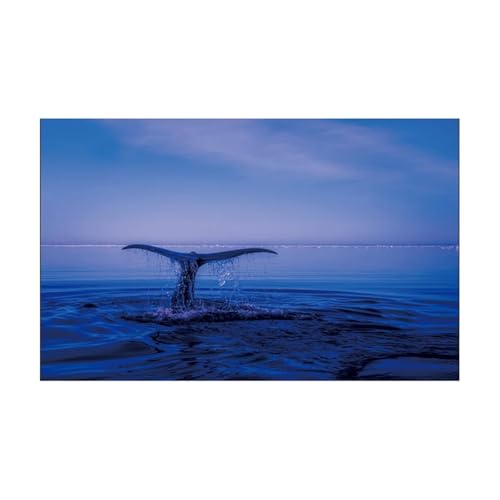 ZYAGH Aquarium Hintergrund Aquarium Hintergrund Aufkleber Delphin Poster Fisch Tank Dekoration Selbst Klebe Tapete Fur Aquarium(41x61cm) von ZYAGH