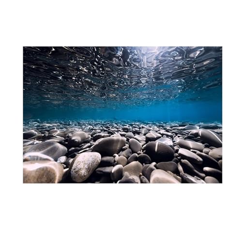ZYAGH Aquarium Hintergrund Aquarium Hintergrund Aufkleber Flussboden Stein Tapete Fisch Tank Dekorationen PVC Landschaft Poster Fur Aquarium(60x120cm) von ZYAGH