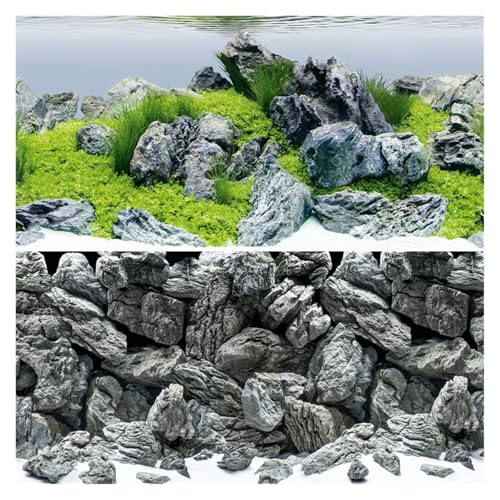 ZYAGH Aquarium Hintergrund Doppelseitiger Aquarium-Hintergrund Fur Aquarium(Color3,60X30CM) von ZYAGH