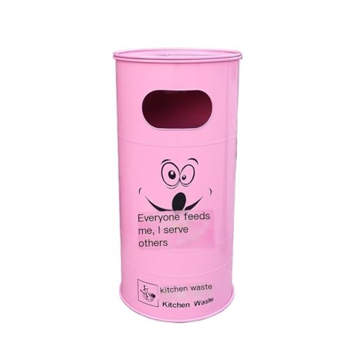 ZYDLMBJL Mülleimer für den Außenbereich, Eisen Kreativer Mülleimer Moderne Mode Kleiner Mülleimer Mehrfarbig(Pink) von ZYDLMBJL