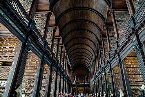 Irish Trinity College Lesesaal Bibliothek,Zeichnen Anfänger mit Pinsel und Acrylfarben Malen nach Zahlen Kits Frameless40*50cm von ZYDZYD